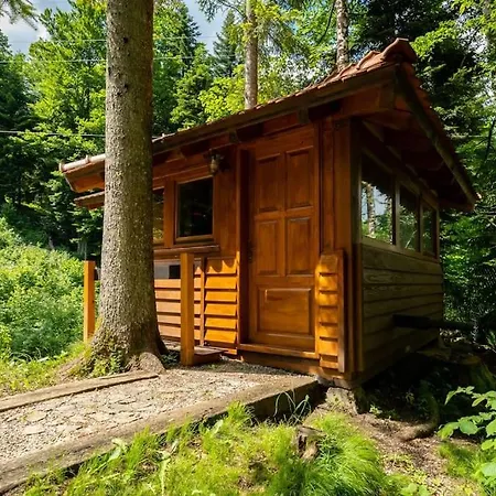 Forest Amerika - Ivcakova Koliba Alpehytte Vrbovsko